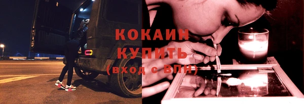 ПСИЛОЦИБИНОВЫЕ ГРИБЫ Абаза