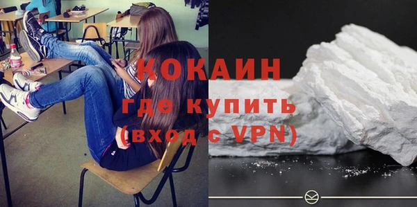 ПСИЛОЦИБИНОВЫЕ ГРИБЫ Абаза