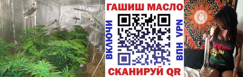 ТГК Wax Бавлы