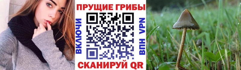 Псилоцибиновые грибы ЛСД  Бавлы 